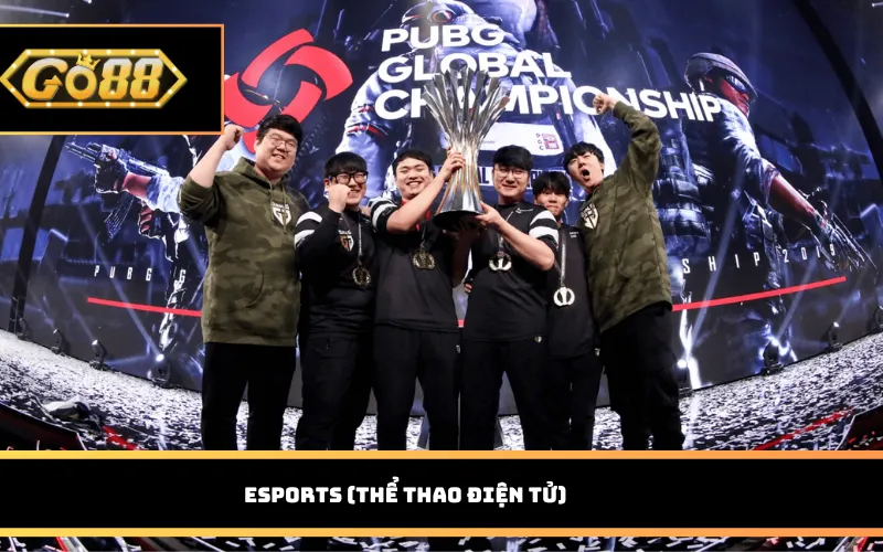 Esports (Thể thao điện tử)